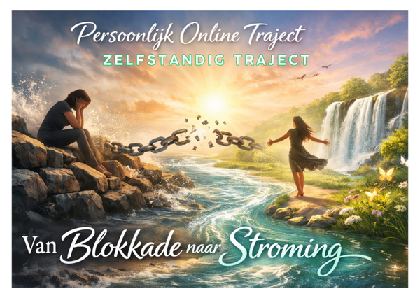 Persoonlijk online traject - Van blokkade naar stroming