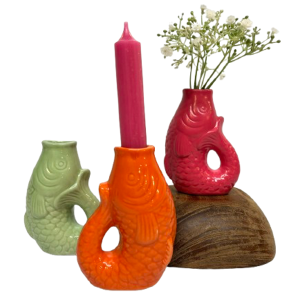 Vis Vaas - Daan Kromhout