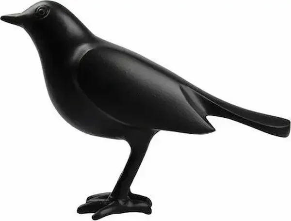 Bird black van Home Delight
