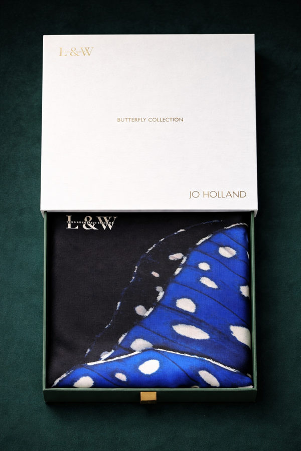 Butterfly Collection – Blue | 40cm x 40cm