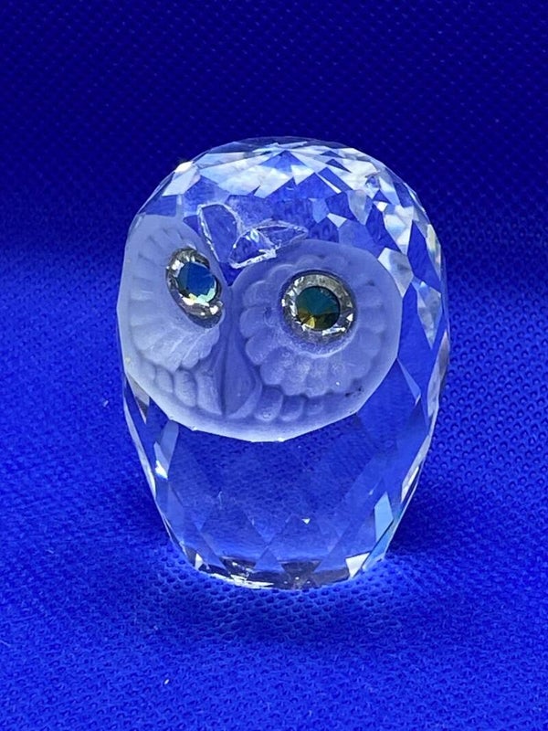 Kleine Swarovski nachtuil