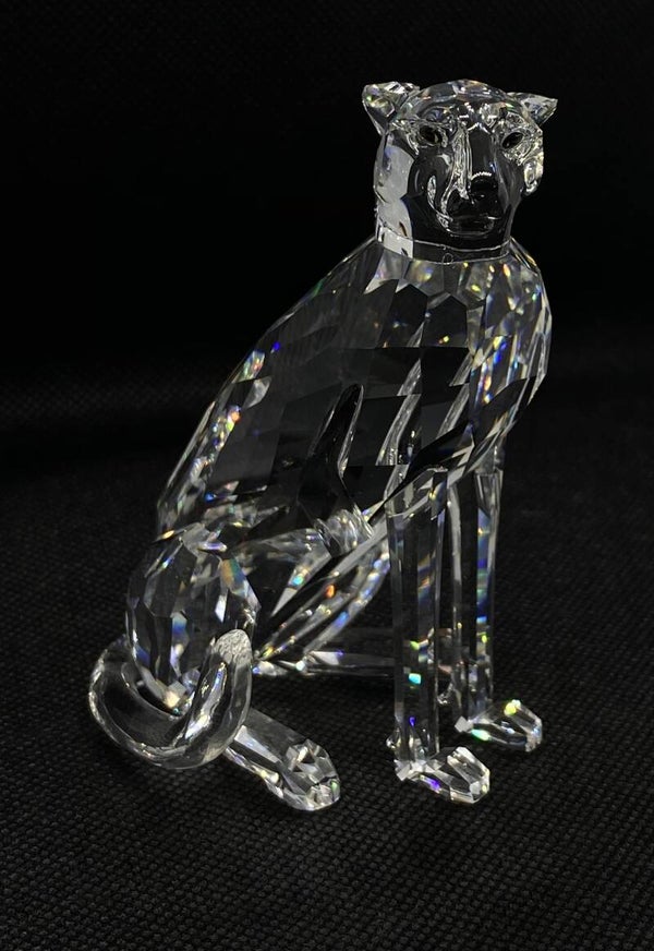 Swarovski jachtluipaard