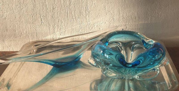 Lange transparante/ blauwe fruitschaal