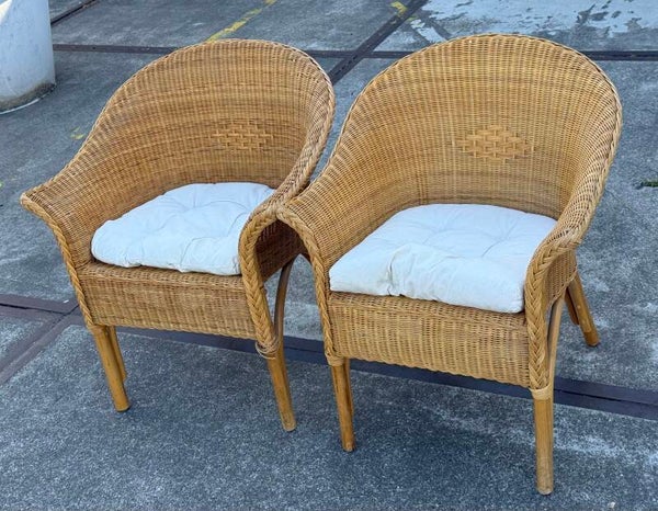 Pair of riet armchair