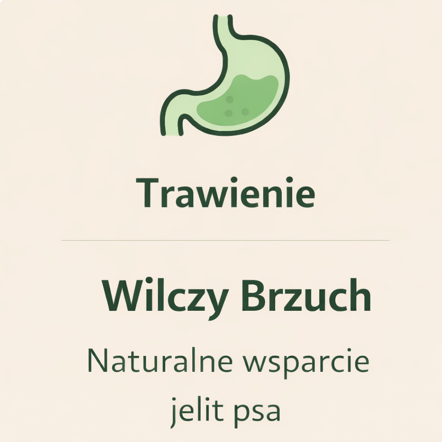 Wilczy brzuch