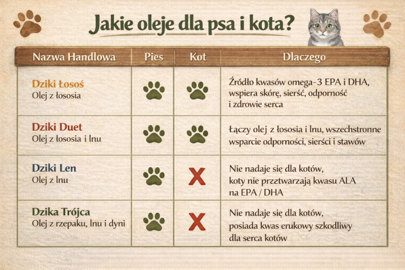 jaki olej dla psa jaki olej dla kota