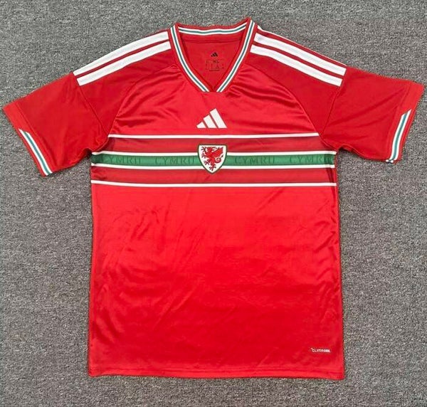 Wales 26/27 Home Top