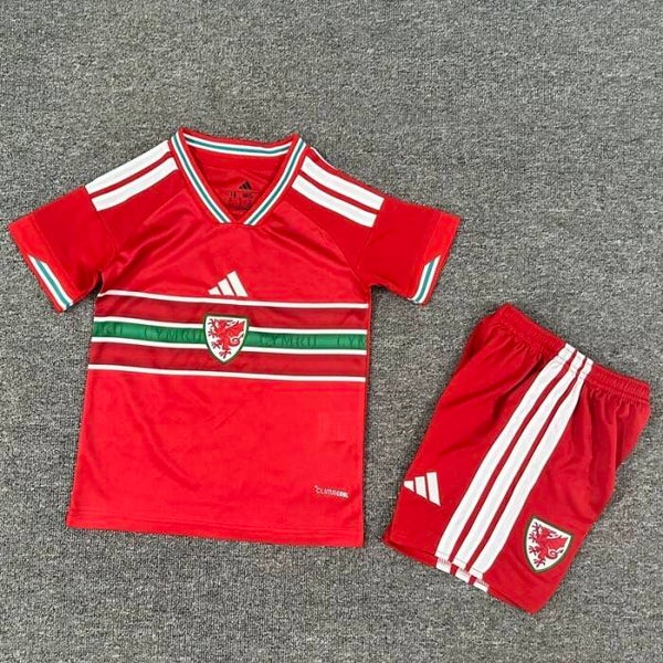 Wales 26/27 Home Kit