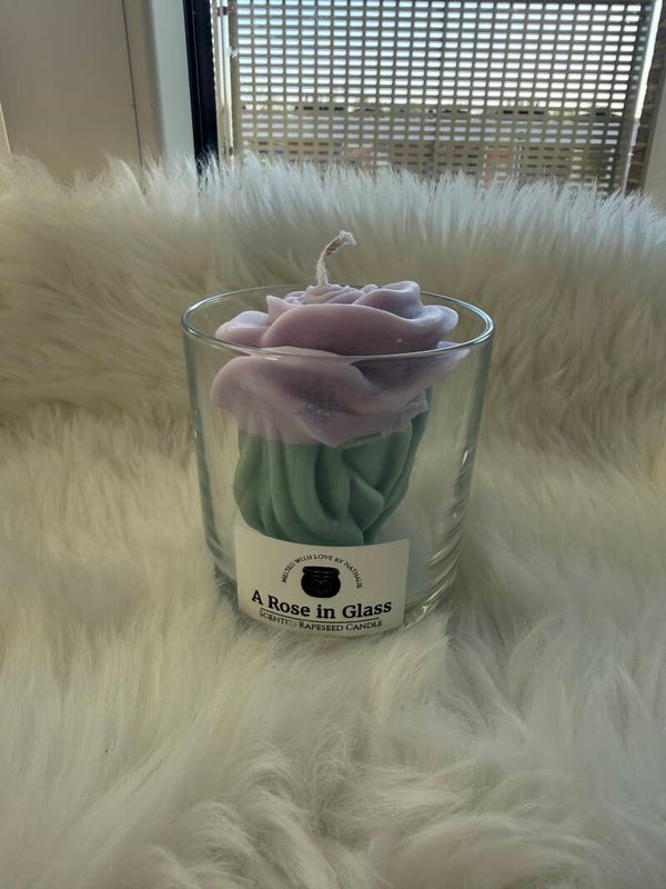 A Rose in Glass
