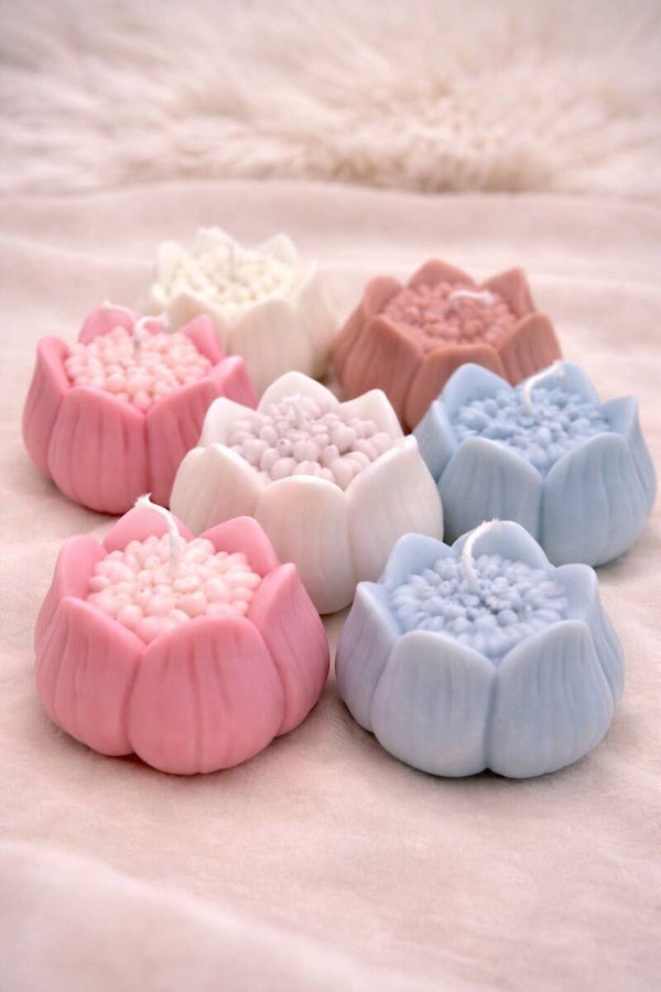 Lotus 🪷