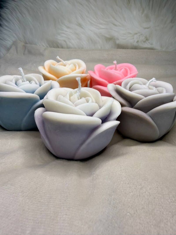 Open Roses