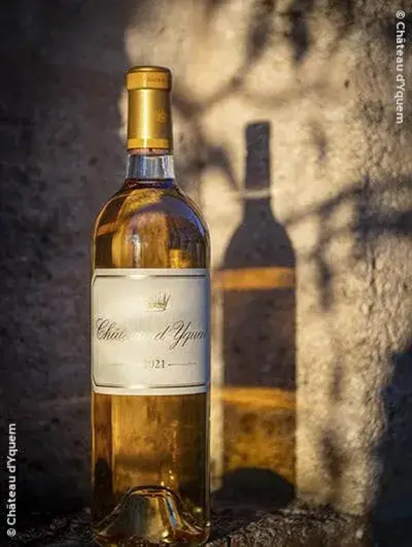 Château d'Yquem 2019 1er cru Supérieur Sauternes