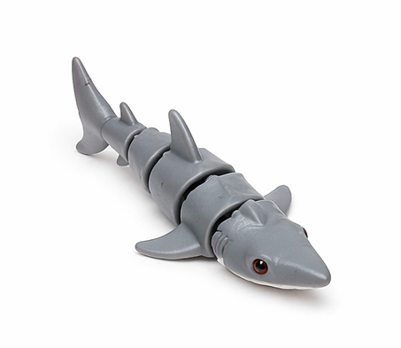 Small Shark
