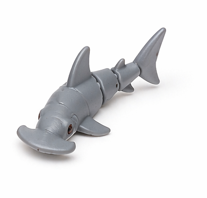 Small Hammerhead