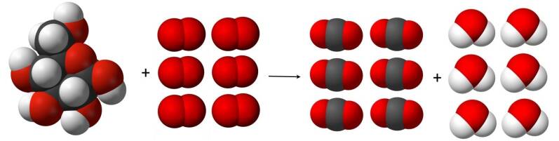 verbranding van glucose (druivensuiker) in een kloppende reactievergelijking