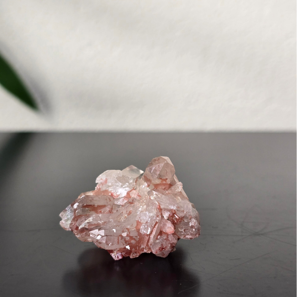 Pink Lithium nr56Z