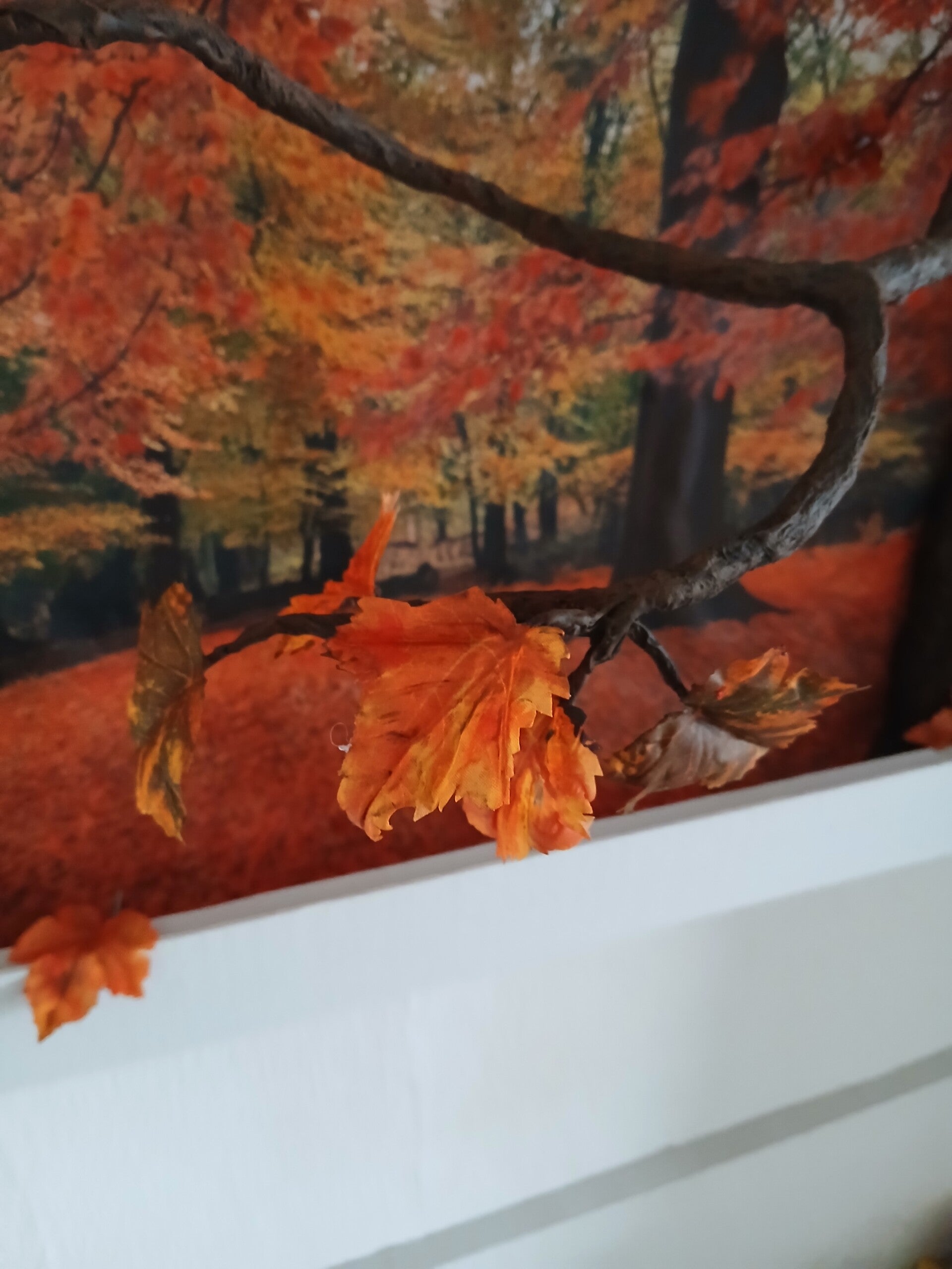 3D window box