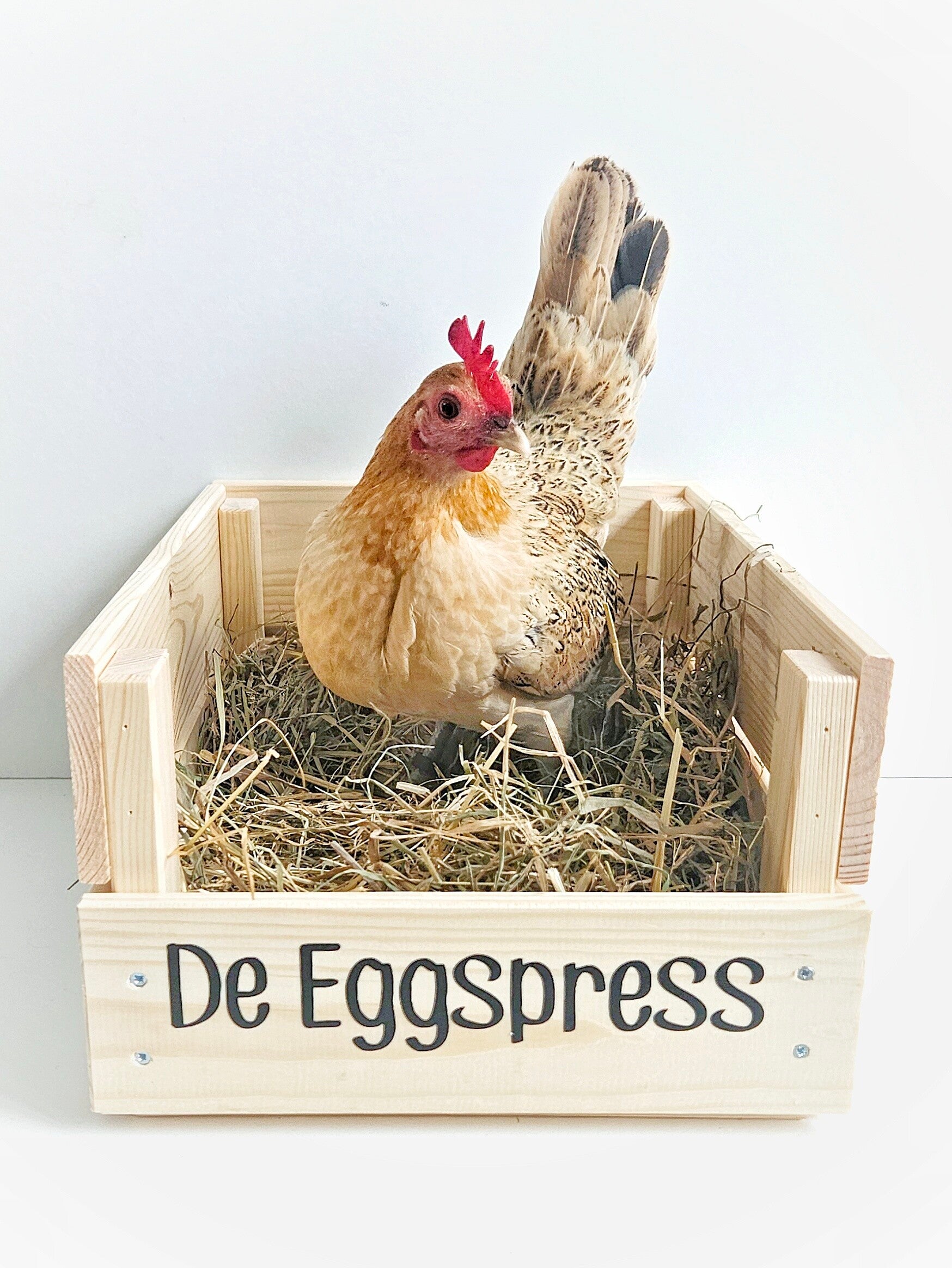 Houten legnest voor kippen