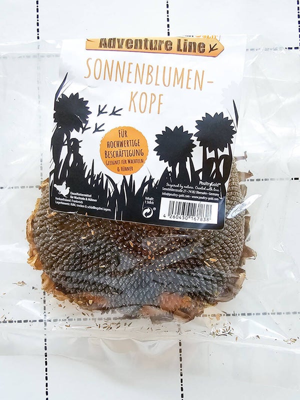 Zonnebloemkop kippen
