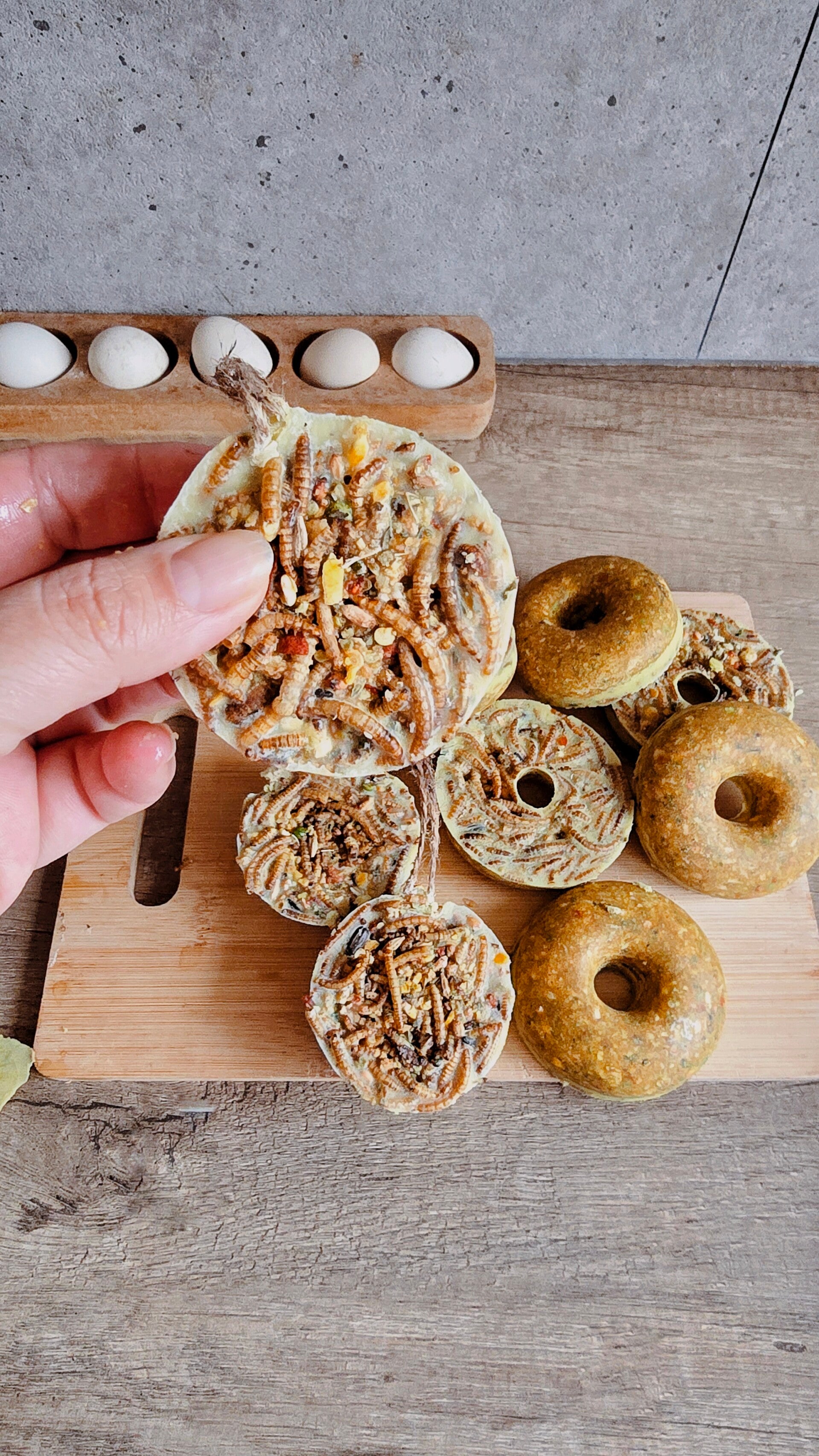 meelwormen kippen snackhouder