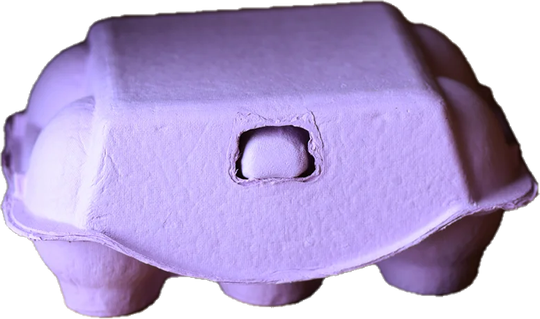 Lila eierdozen voor 6 eitjes