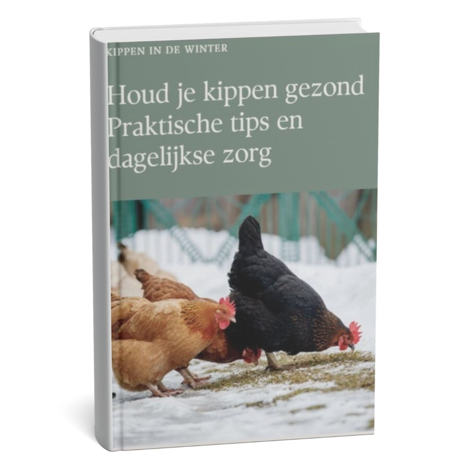 Hoe help je je kippen goed de winter door E-book