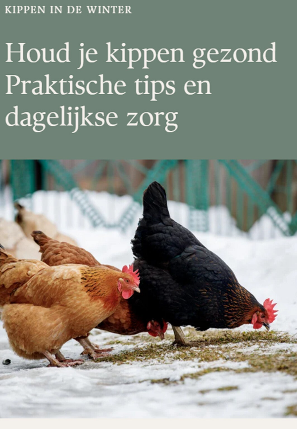 E-BOOK  Hoe help je je kippen goed de winter door