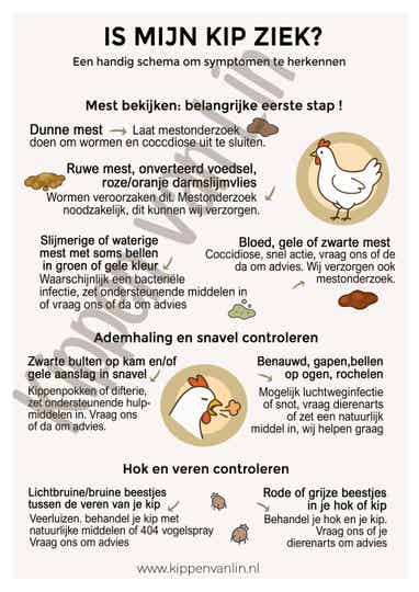 Is mijn kip ziek? Symptoom herkennings kaart
