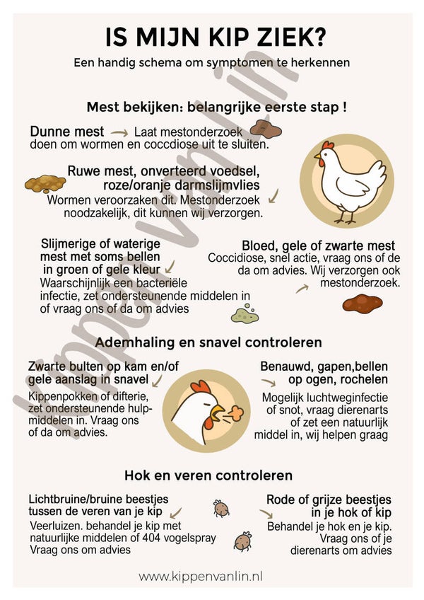 Is mijn kip ziek? Symptoom herkennings kaart