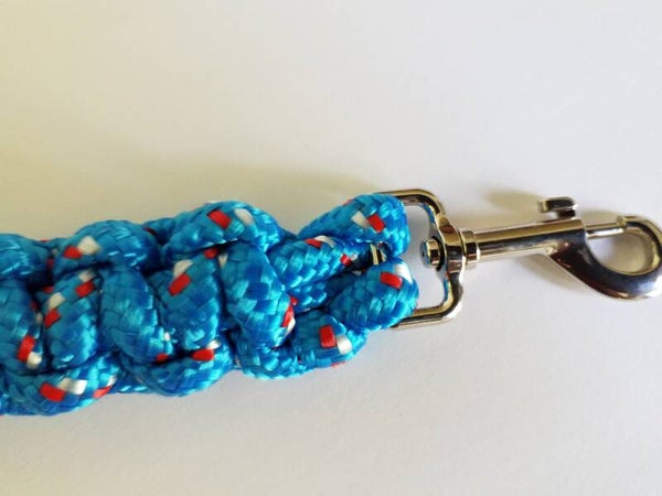 Dog Leash/Lead
