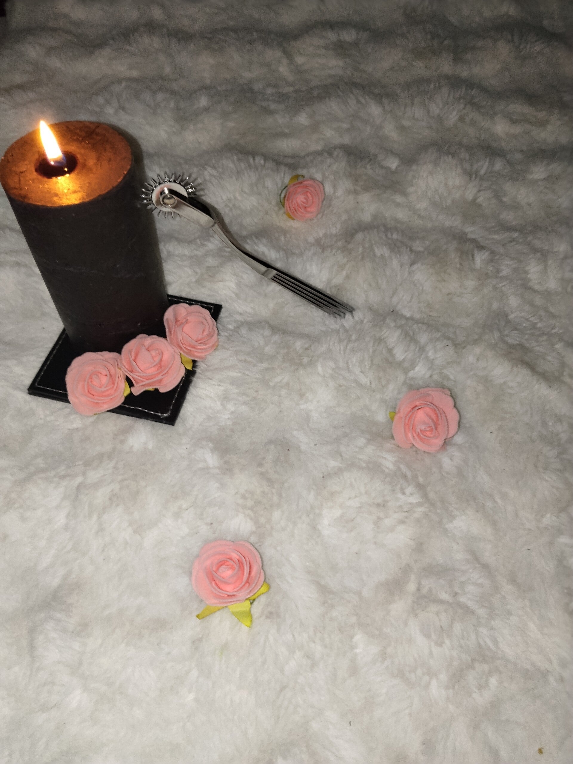 roulette de wartenberg