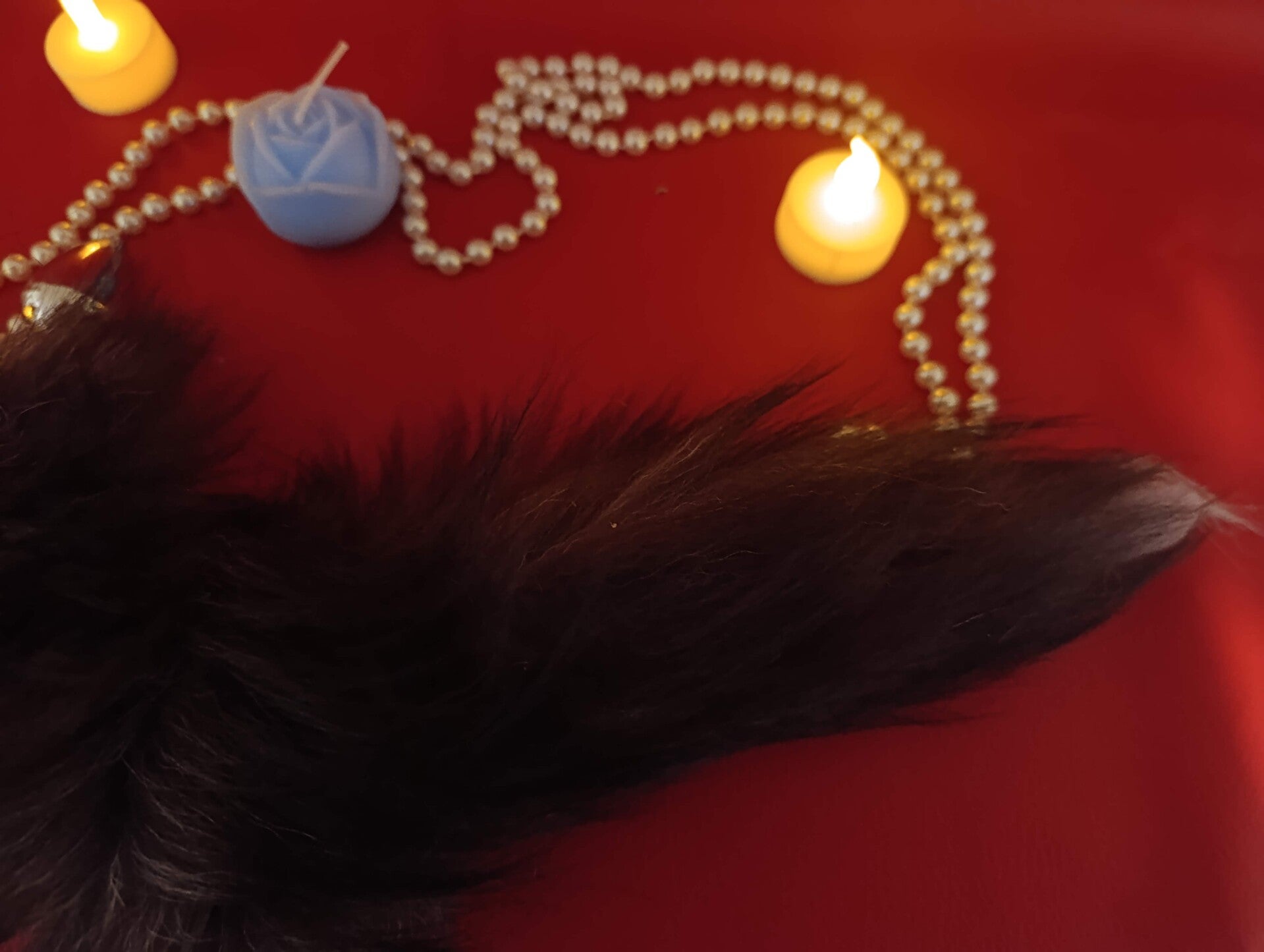 plug queue de renard