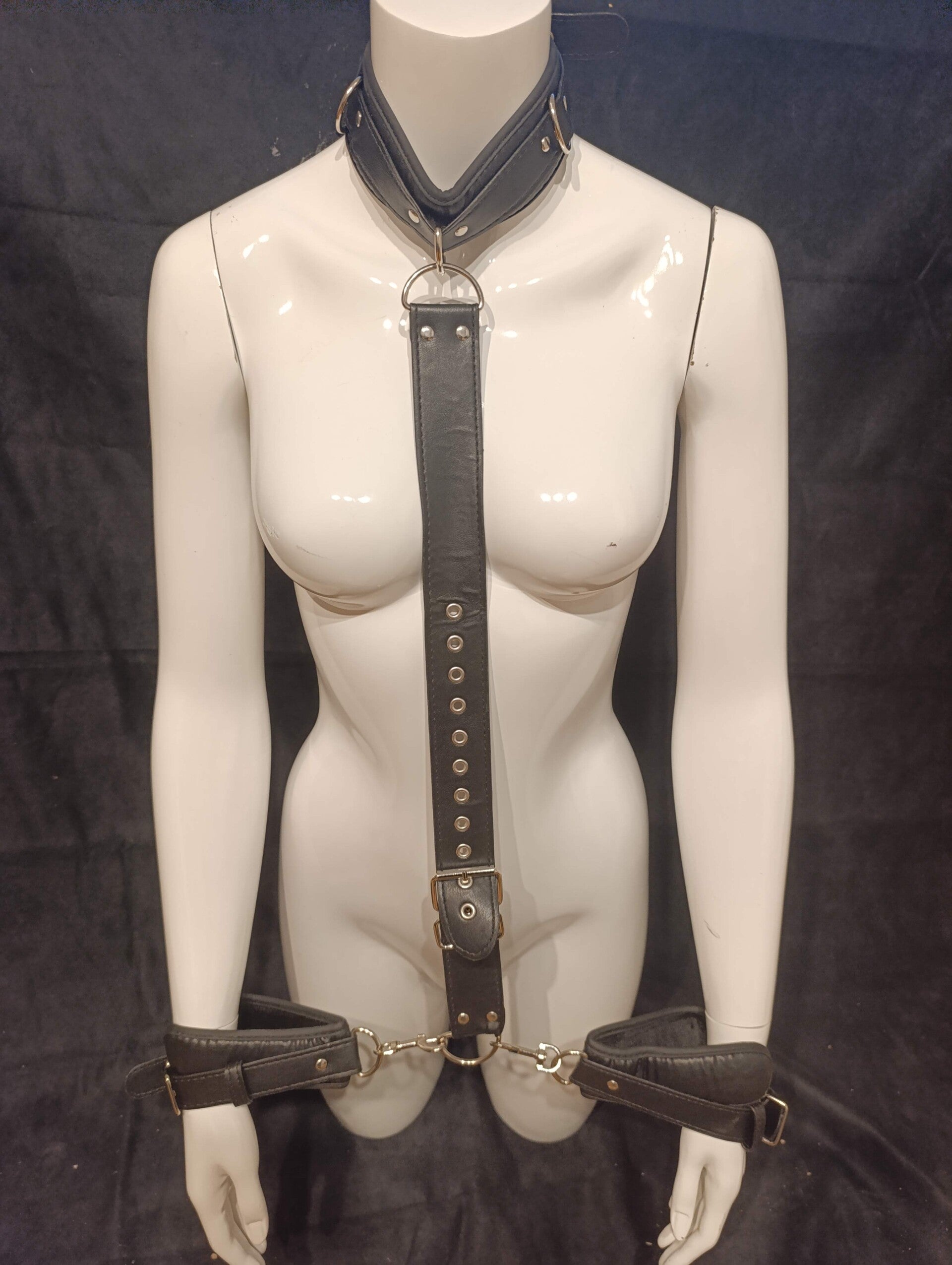 collier avec laisse et menotte