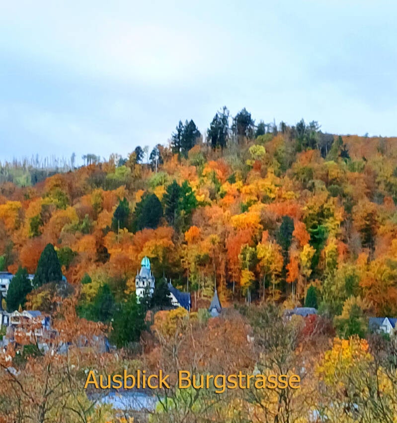 blick aus dem fenster burgstr4