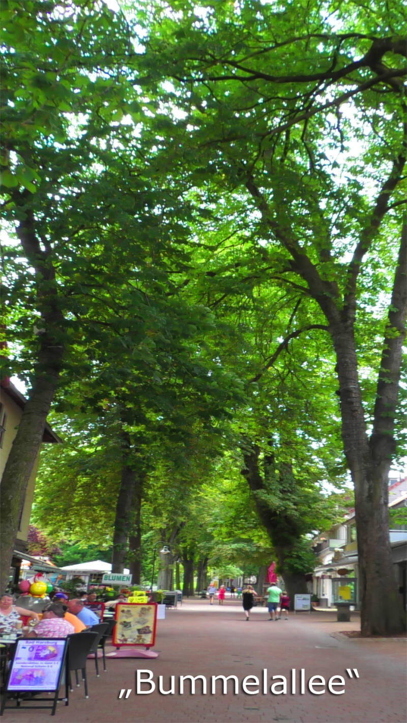 bummelallee bad harzburg
