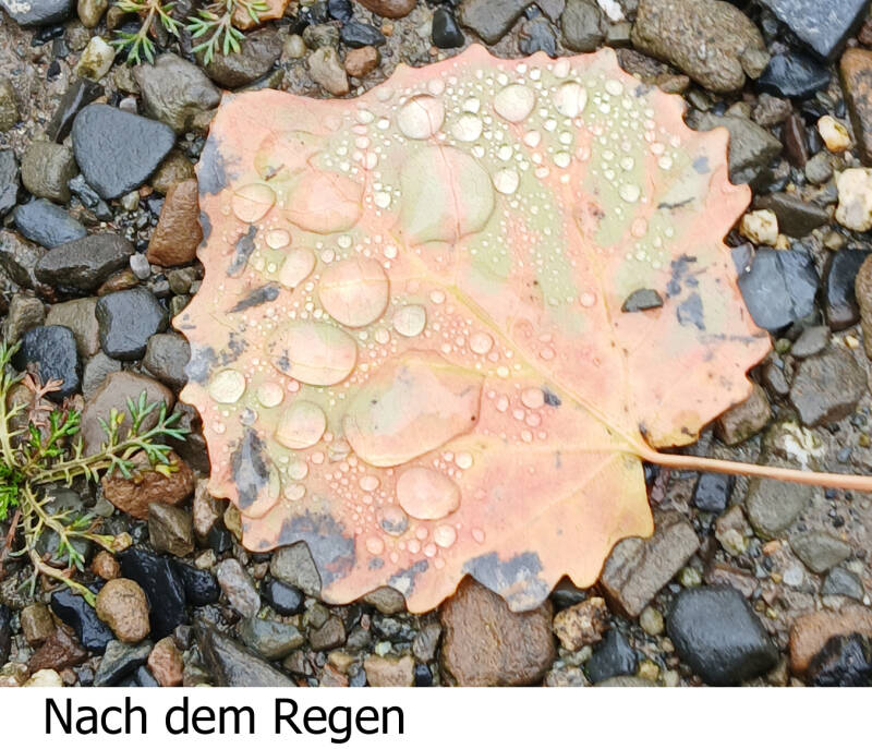 regenzeit