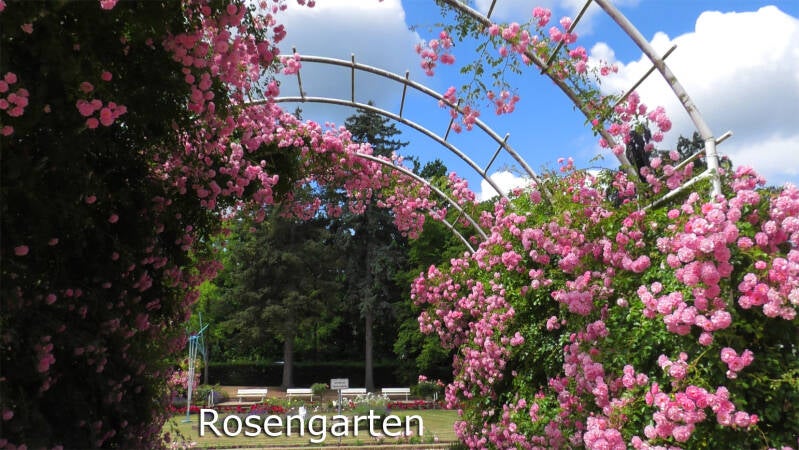 rosengarten bad harzburg