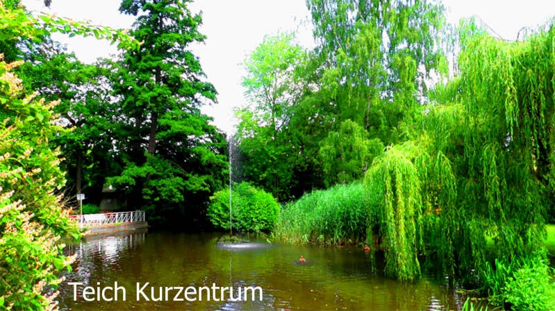 teich kurzentrum