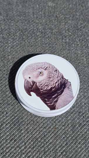 Popsocket grijze roodstaart