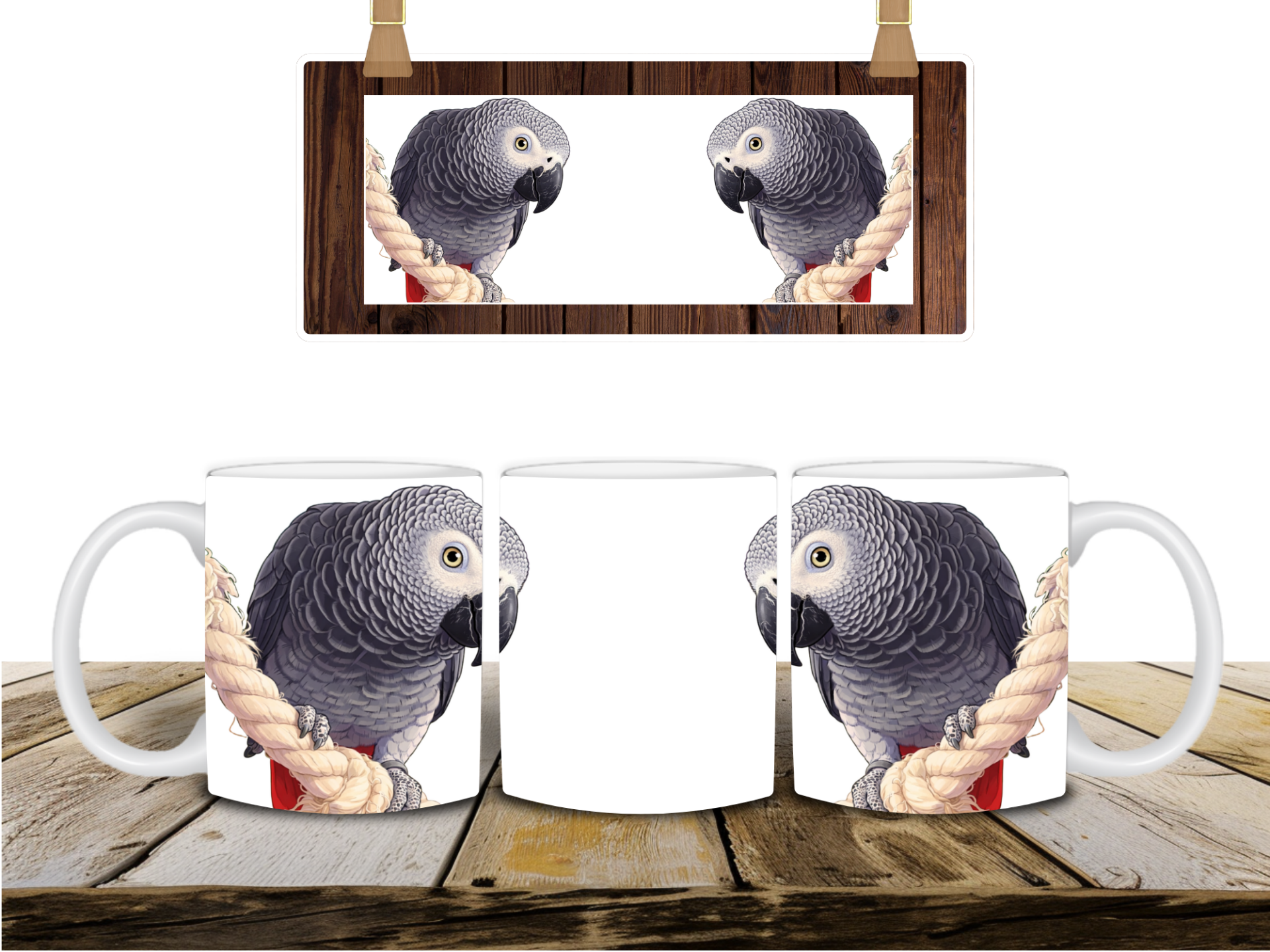 Mok met grijze roodstaart papegaai