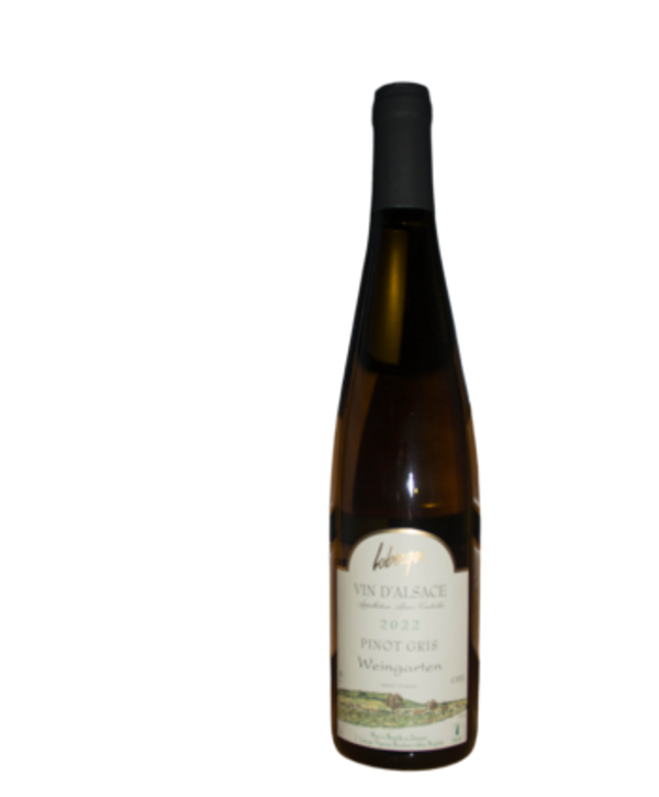 Loberger, Pinot Gris Weingarten 2023 - bio