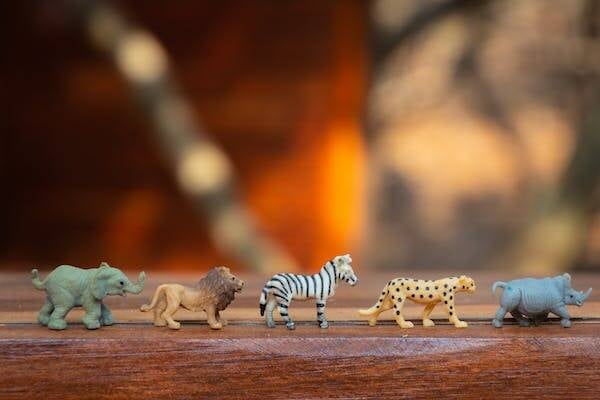 kleine dieren