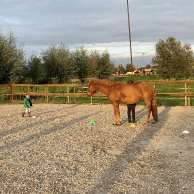 Paardencoaching voor kinderen, kind therapie met paarden