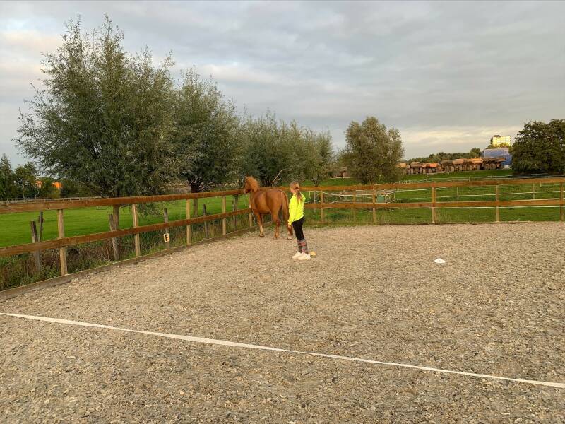 Paardencoaching voor kinderen, kind therapie met paarden