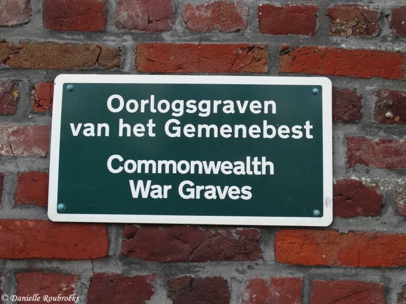 01WielsbekeCom.jpg