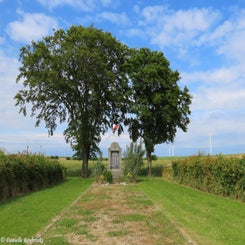 02-origny-sainte-benoite-f-woe12jun24-standard.jpg