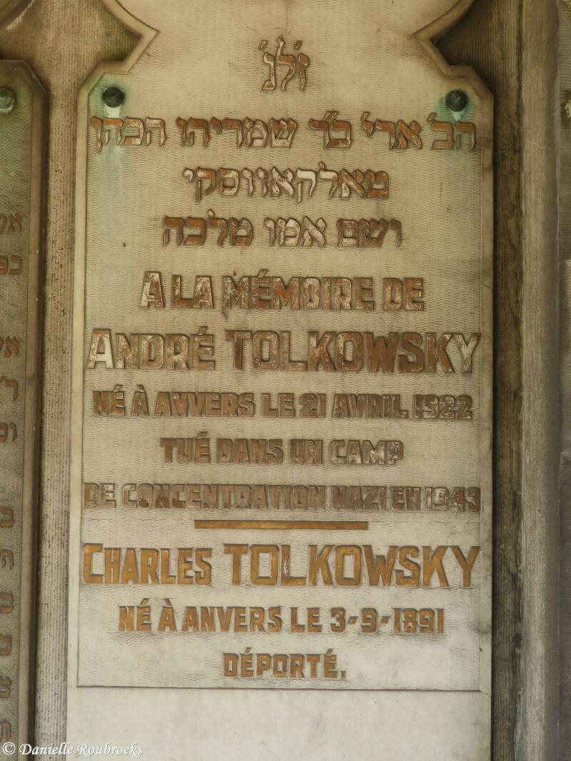 02Schoonselhofdi26mei20Tolkowsky.jpg