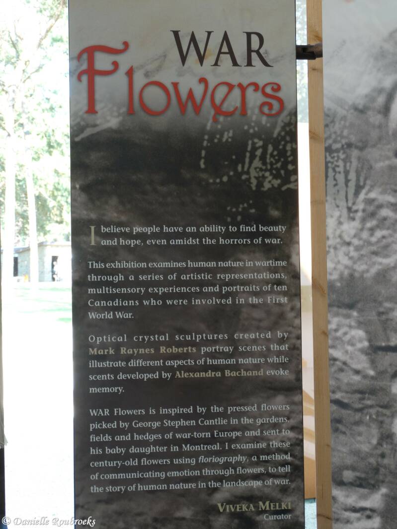 02VimyWarFlowerszo15jul18.jpg