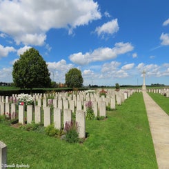 03-divisional-collecting-post-do11jul24-standard.jpg