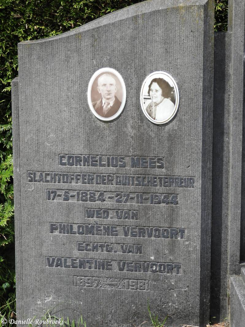 03schoonselhofdi31mei22meescornelius.jpg